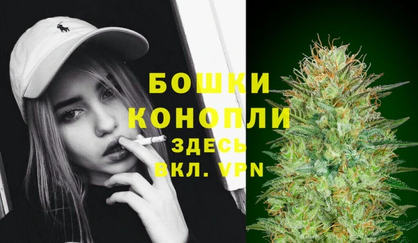 бошки Аркадак