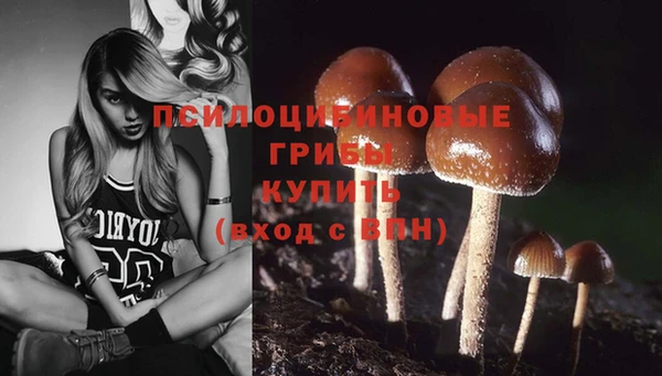 бошки Аркадак