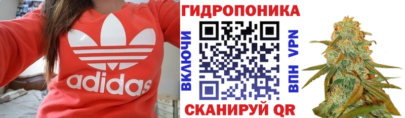 Бошки Шишки THC 21%  цена наркотик  Искитим 